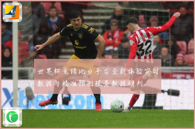 世界杯竞猜比分平台全新体验实时数据与精准预测服务数据研判