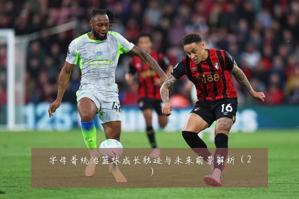 字母哥统治篮球成长轨迹与未来前景解析(2)